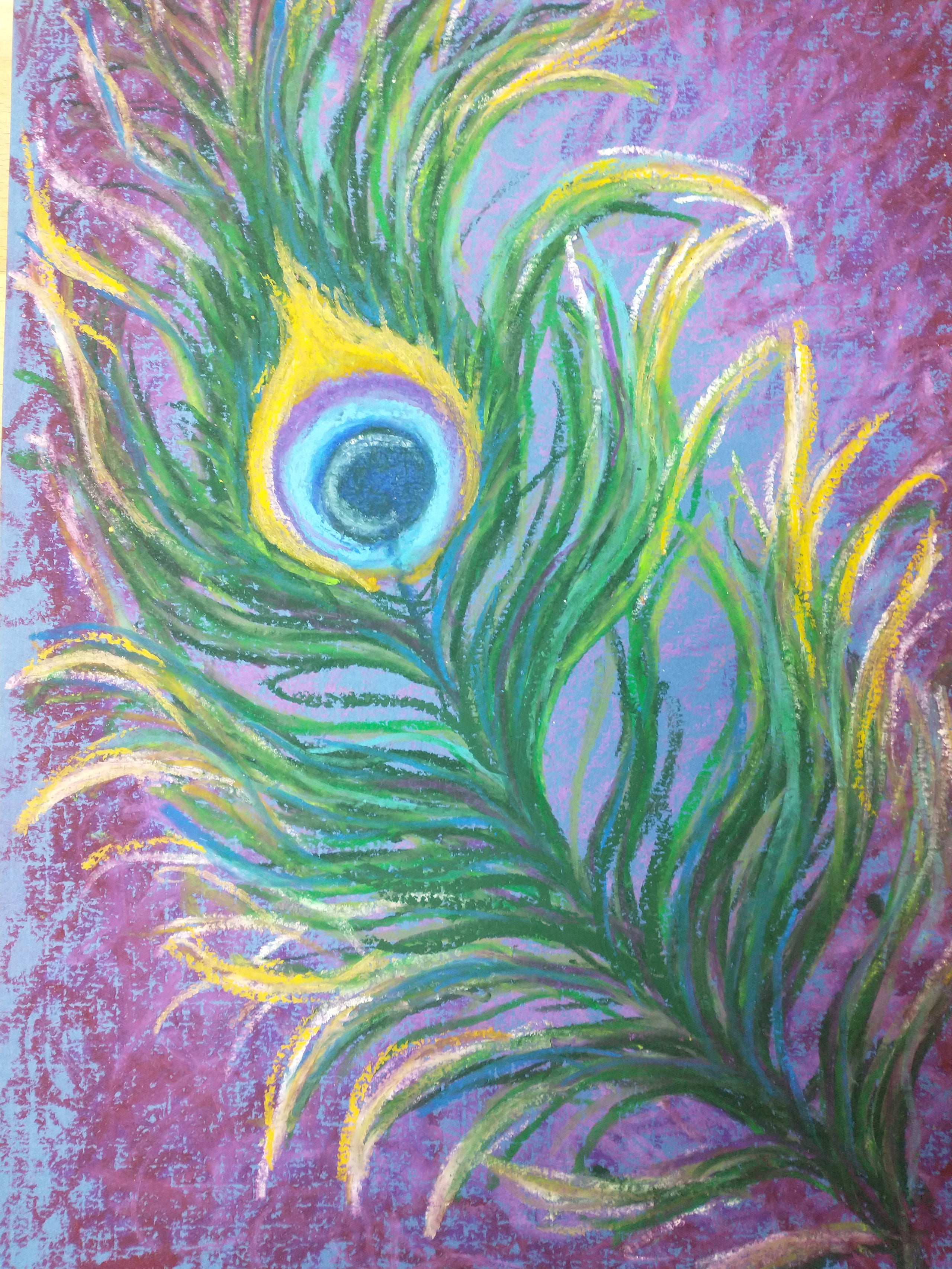 Peacock Oil Pastel Painting - Tamara Jaeger Fine Art