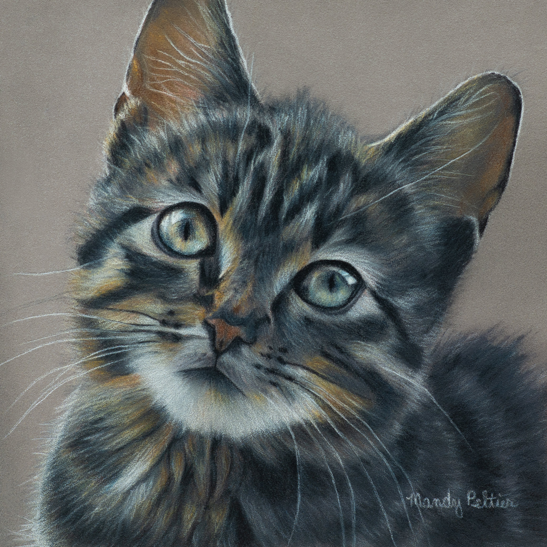 Kitten on Pastelmat using Colored Pencils with Mandy October 5, 12, and 19  from 3:00 - 6:00.